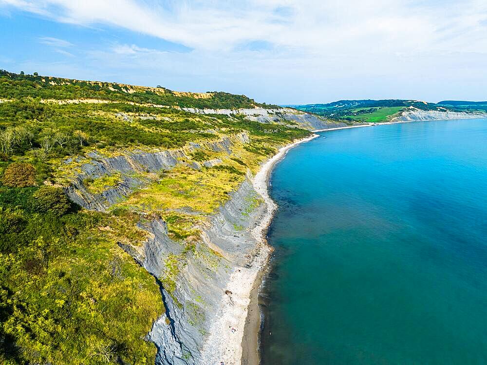 Lyme Regis from a drone, Jurassic Coast, Dorset, England, United Kingdom, Europe