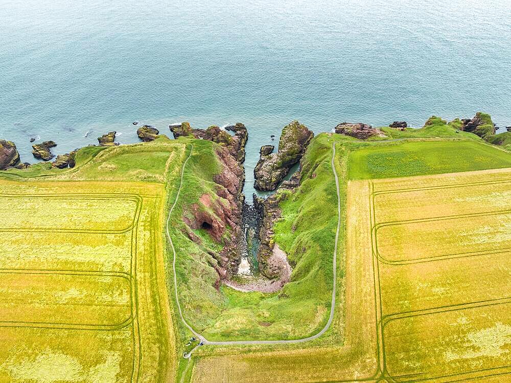 Aerial view of Arbroath Cliffs coastline, County Angus, Scotland, United Kingdom, Europe