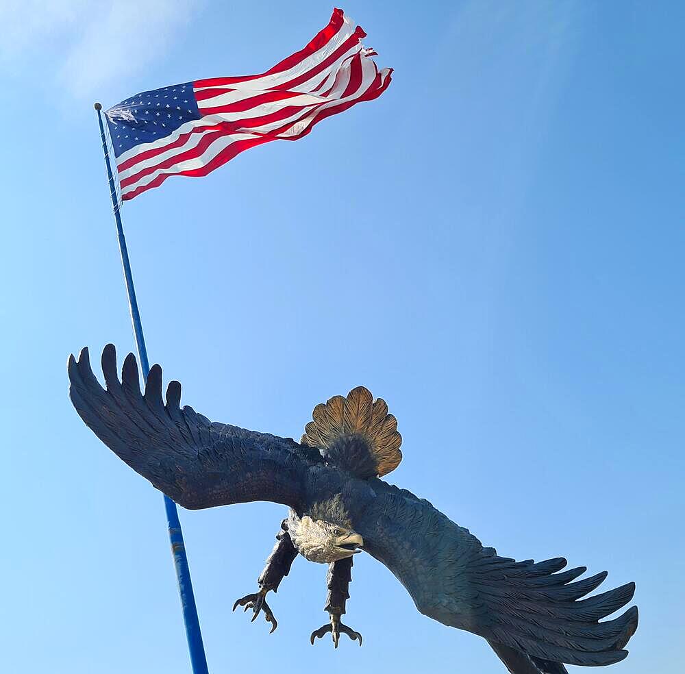 American Eagle, US Flag, Aberdeen, South Dakota, USA, North America