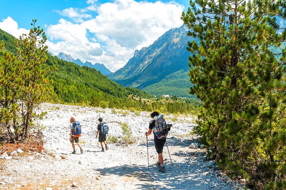 Hikers walking on the Valbona Valley trail alongside trees, Theth National Park, Albanian Alps, Albania, Europe