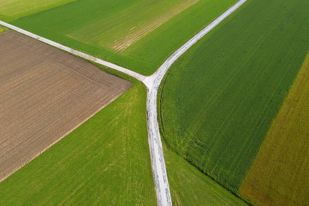 Drone shot, agricultural landscape, field path with crossroads leading through meadows and fields, Lochen, Innviertel, Upper Austria, Austria, Europe