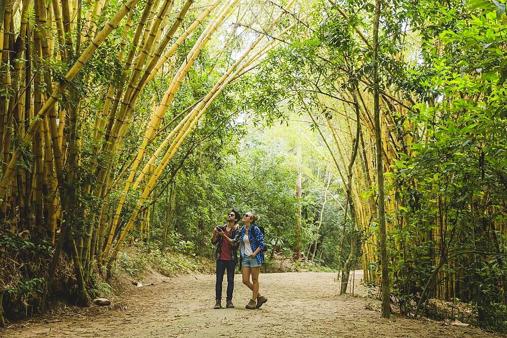 Couple path bamboo forest