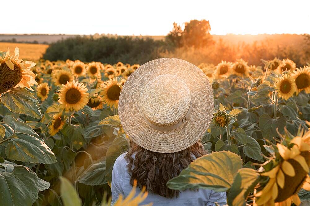 Back view woman wearing hat field