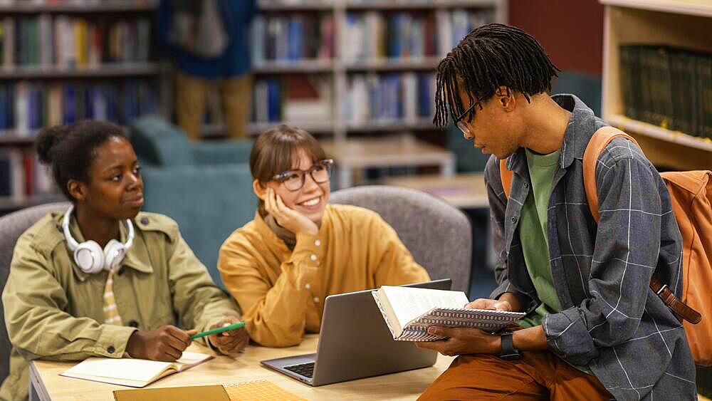 Colleagues studying university library