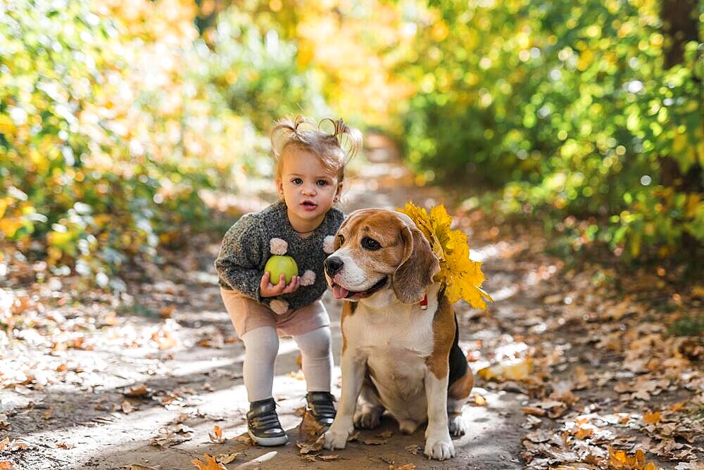 Portrait small girl holding ball standing near beagle dog forest