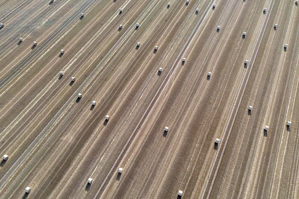 Rolls of straw lying on a harvested field, photograph taken with drone, Egeln, Saxony-Anhalt, Germany, Europe