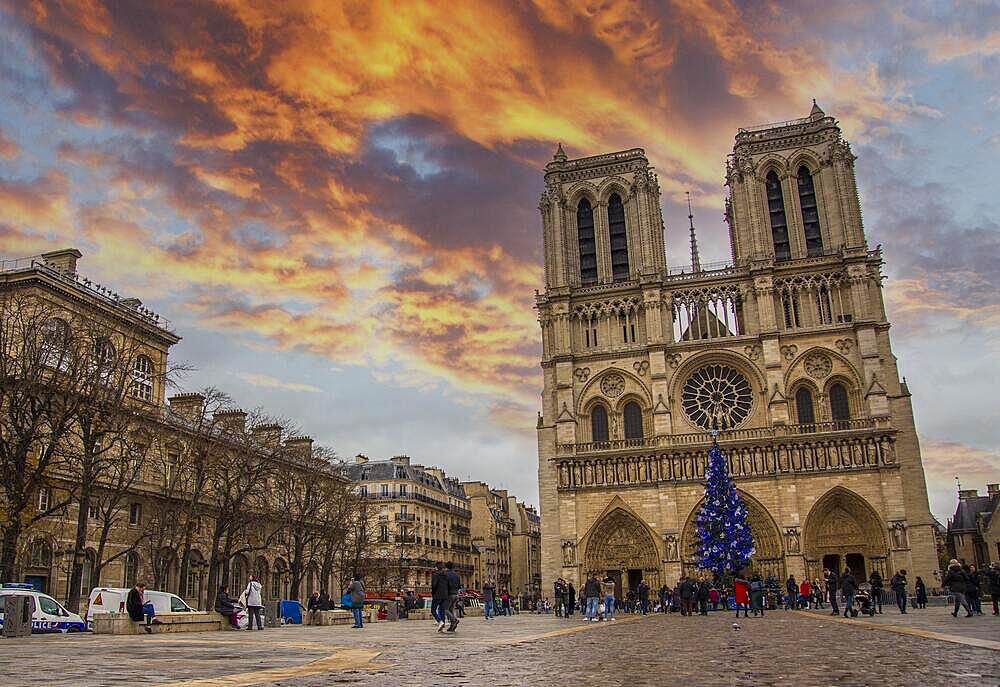 A beautiful sunset in the city of love in Notre Dame, Paris. France