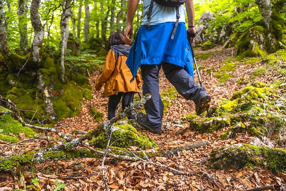 Mount Aizkorri 1523 meters, the highest in Guipuzcoa. Basque Country. Ascent through San Adrian and return through the Oltza fields. Young people walking in the forest on the slopes of Mount Aizkorri