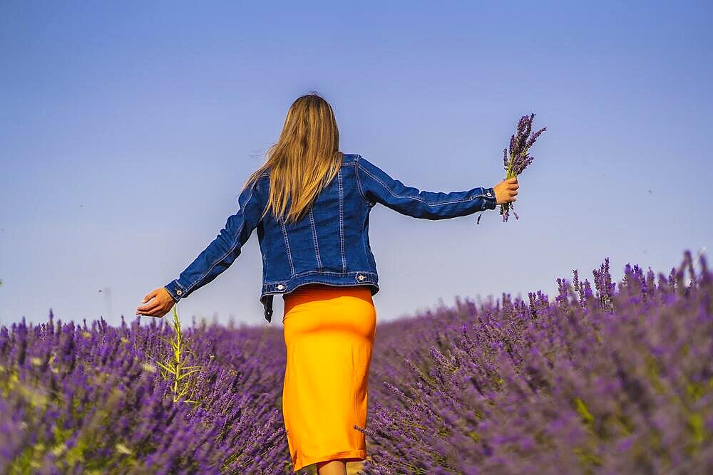 Rural lifestyle, young blonde caucasian woman in denim jacket and orange dress, in a beautiful lavender field with her purple flower in Olite. Navarra, Spain. Walking with flowers