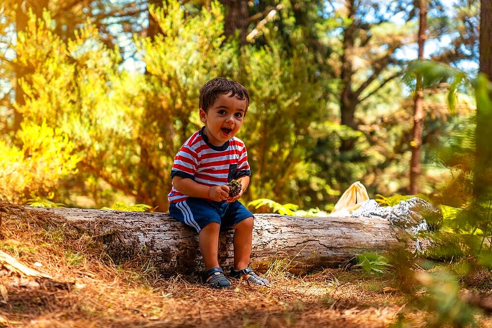 Portrait of a boy sitting on a tree in nature next to pine trees smiling, Madeira. Portugal