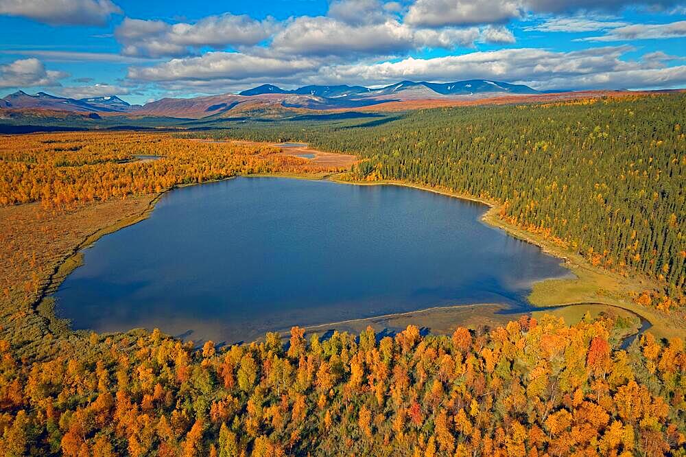 Drone shot, view of the Aenok marshland with lake, birch forests, deep colouring, autumn, intense colouring, Sarek mountains in the background, Kvikkjokk, Jokkmokk, Norrbottens laen, Lapland, Northern Sweden, Sweden, Europe