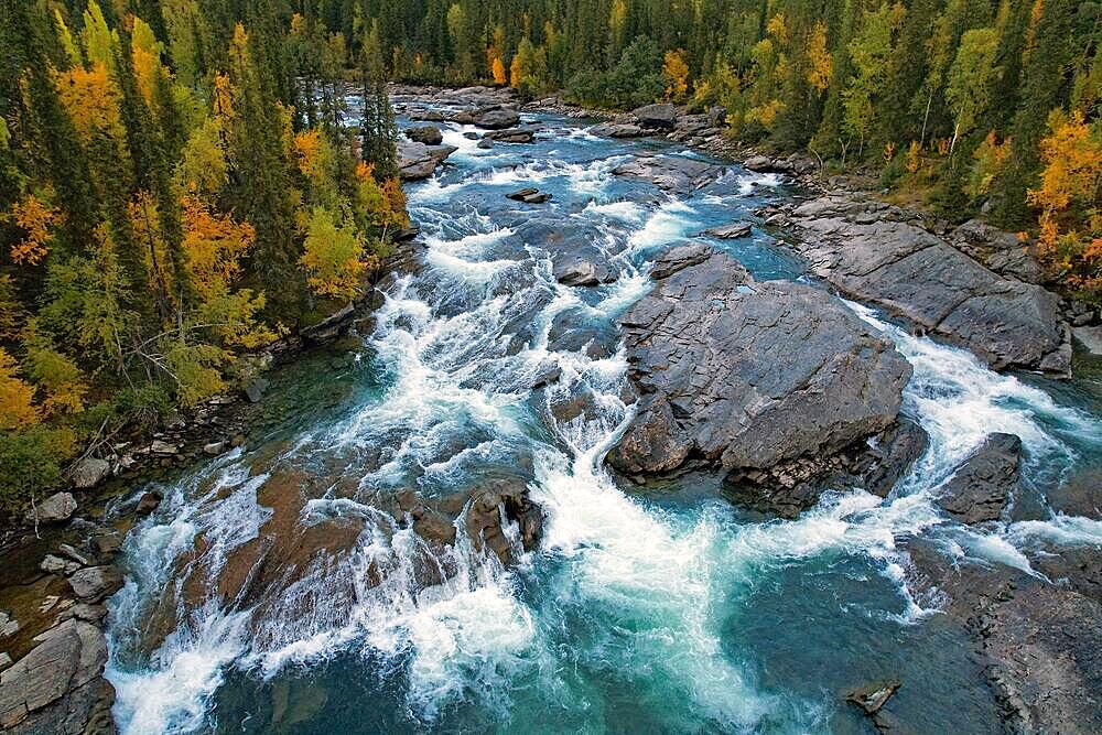 Drone shot, view of the river Kamajakka, coniferous forest and birch forest, autumn, Kvikkjokk, Jokkmokk, Norrbottens laen, Lapland, Northern Sweden, Sweden, Europe