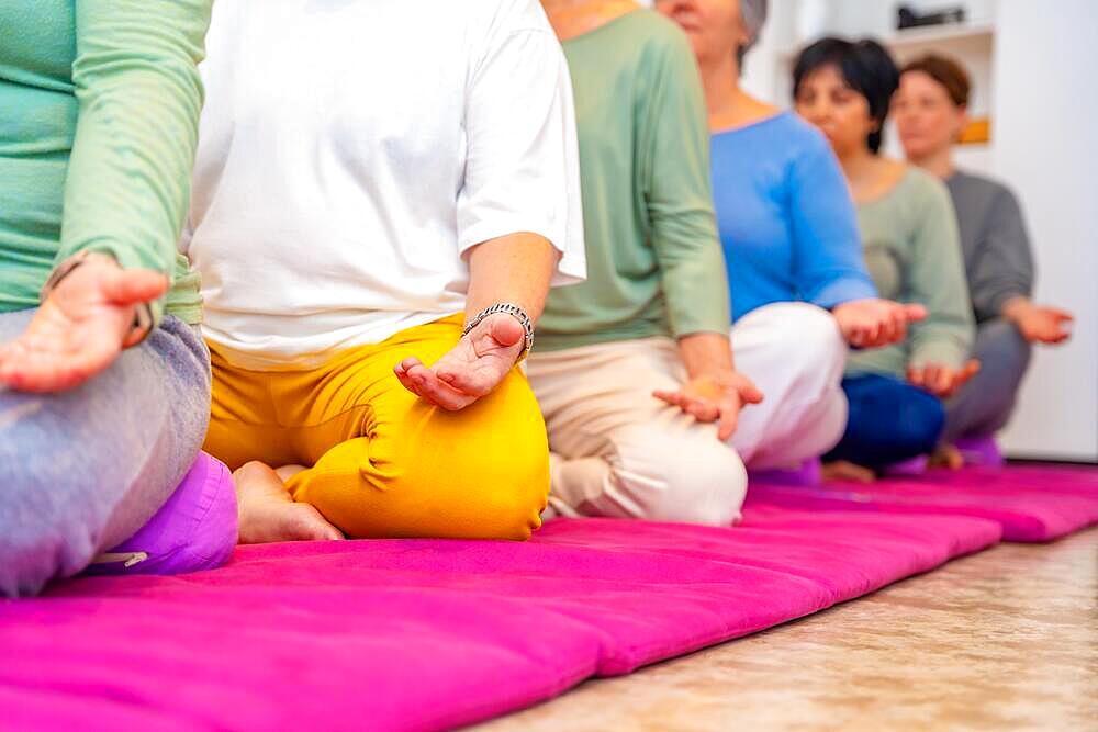 Group of unrecognizable people meditating in lotus pose sitting in line on a mat