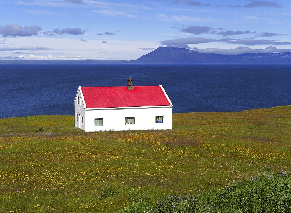 Lonely house with a red roof at Bakkafjörður in Iceland