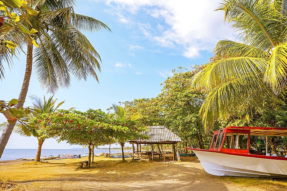 On the beach of Playa Tarcoles Costa Rica