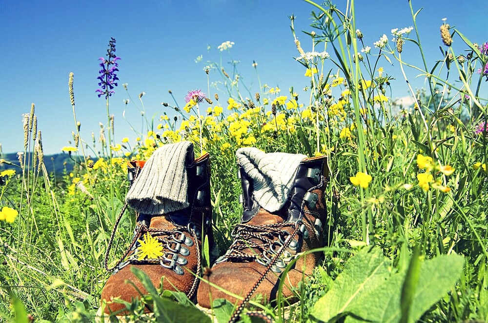 Mountain boots on a pasture in the german alps