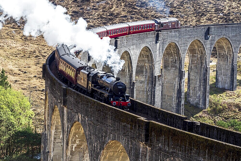 Jacobite steam train at the Glenfinnan viaduct, scottish highland, Scotland, UK