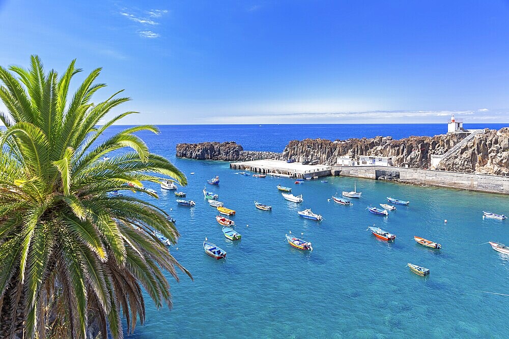 Harbour of Camara de Lobos, Madeira