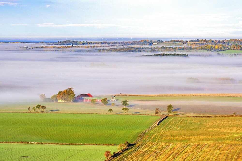 Morning fog at a farm and fields in the countryside at autumn, Sweden, Europe