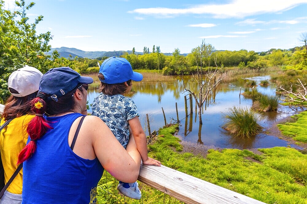 Family looking at the lake in the Jaizubia marsh in the town of Hondarribia or Fuenterrabia in Gipuzkoa. Basque Country