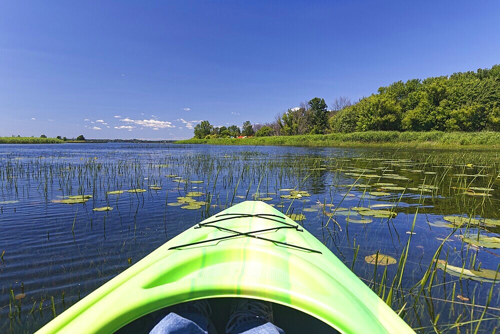 Nature, kayak tour, riverscape water sport, Saint Lawrence River, Province of Quebec, Canada, North America