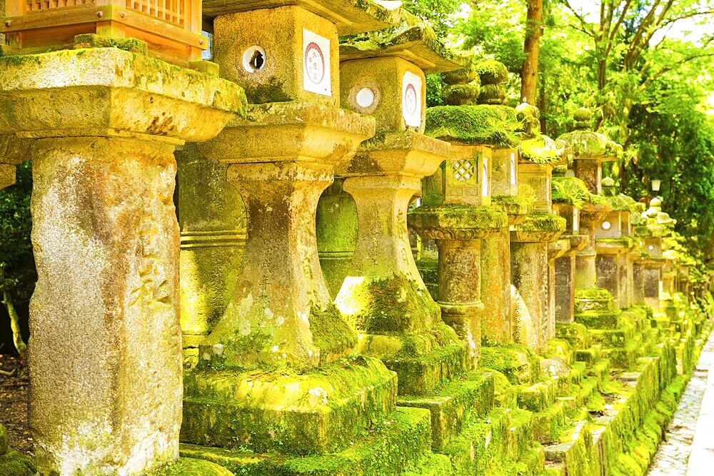 Row of repeating moss covered stone lanterns at Todai-ji temple complex in Nara, Japan, Asia