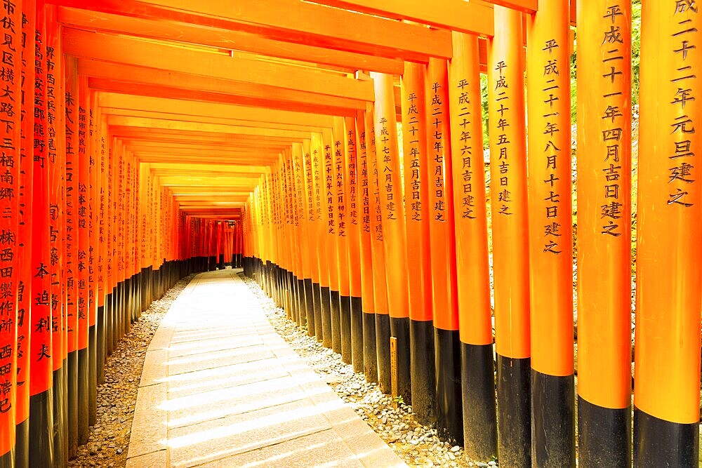 KYOTO, JAPAN, JUNE 15, 2015: Japanese text written on colorful red torii gates supports repeating at Fushimi Inari Taisha Shrine without people present in Kyoto, Japan. Horizontal copy space