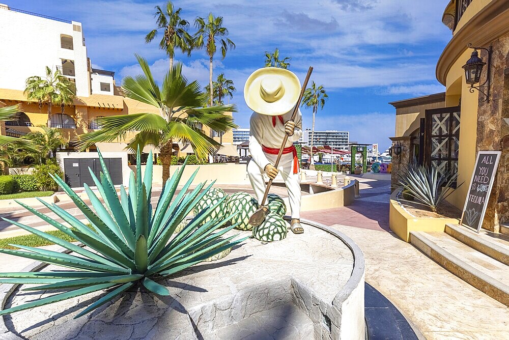 Cabo San Lucas, Los Cabos, Mexico, 2 October, 2021: Tequila shop in Los Cabos marina in Cabo San Lucas, a departure point for cruises, marlin fishing and lancha boats to El Arco Arch and beaches, Central America