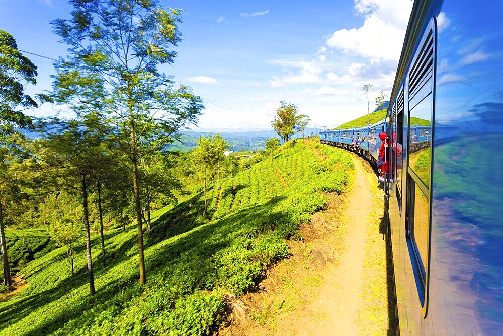 Tea plantation view and neat green tea plants seen from side exterior of passenger train curving ahead in hill country on a blue sky day in Haputale, Sri Lanka. Horizontal