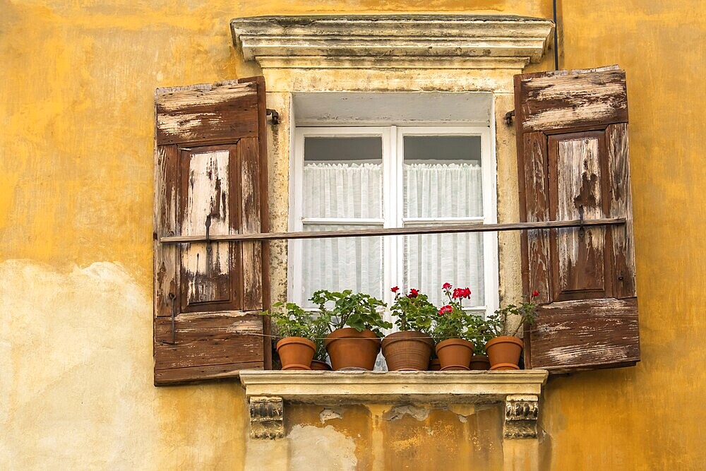 Weathered house facade, windows with weathered shutters, flower pots with geraniums, Piran, Slovenia, Europe