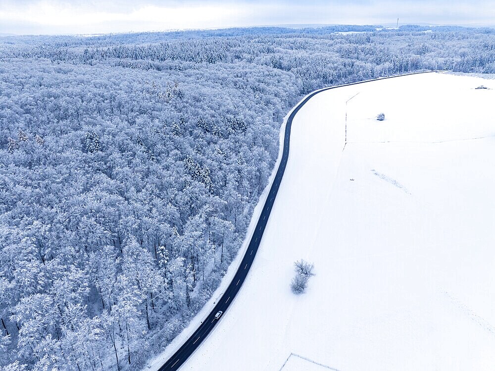 A dense, snow-covered forest stretches into the distance from a bird's eye view, aerial view, Gechingen, Black Forest, Germany, Europe