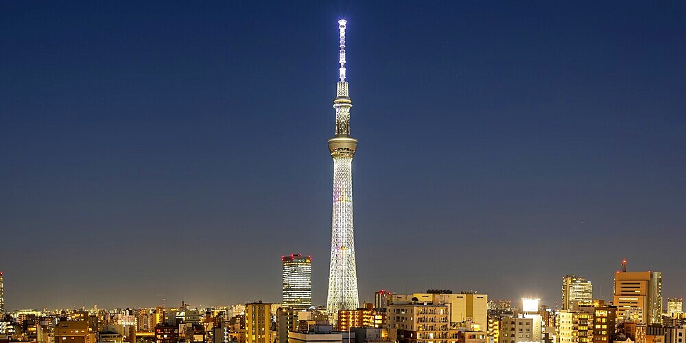 Tokyo SkyTree tower with the skyline skyscrapers panorama at night in Tokyo, Japan, Asia