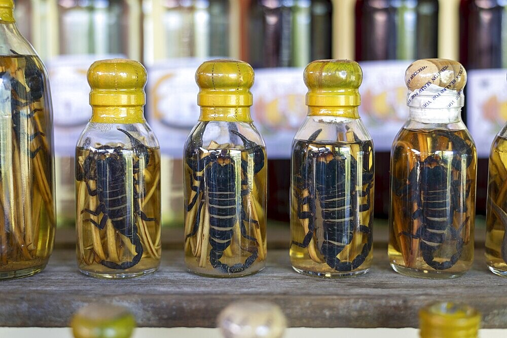 Choum, rice liquor, rice wine with pickled scorpions and snakes for sale, Laos, Asia