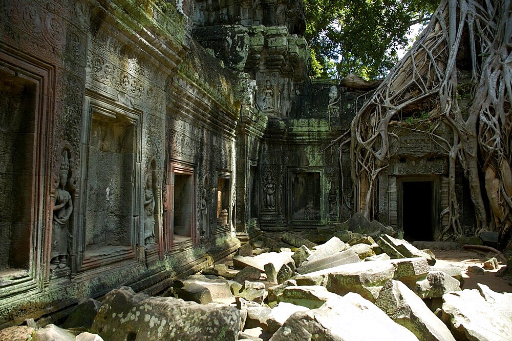 Picturesque decayed Khmer temple in the jungle Ta Prohm Angkor Siem Reap Cambodia