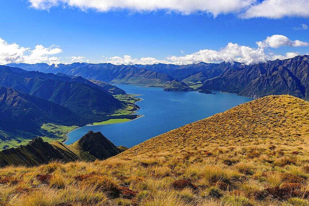Lake Wanak in South Island, New Zealand, Oceania
