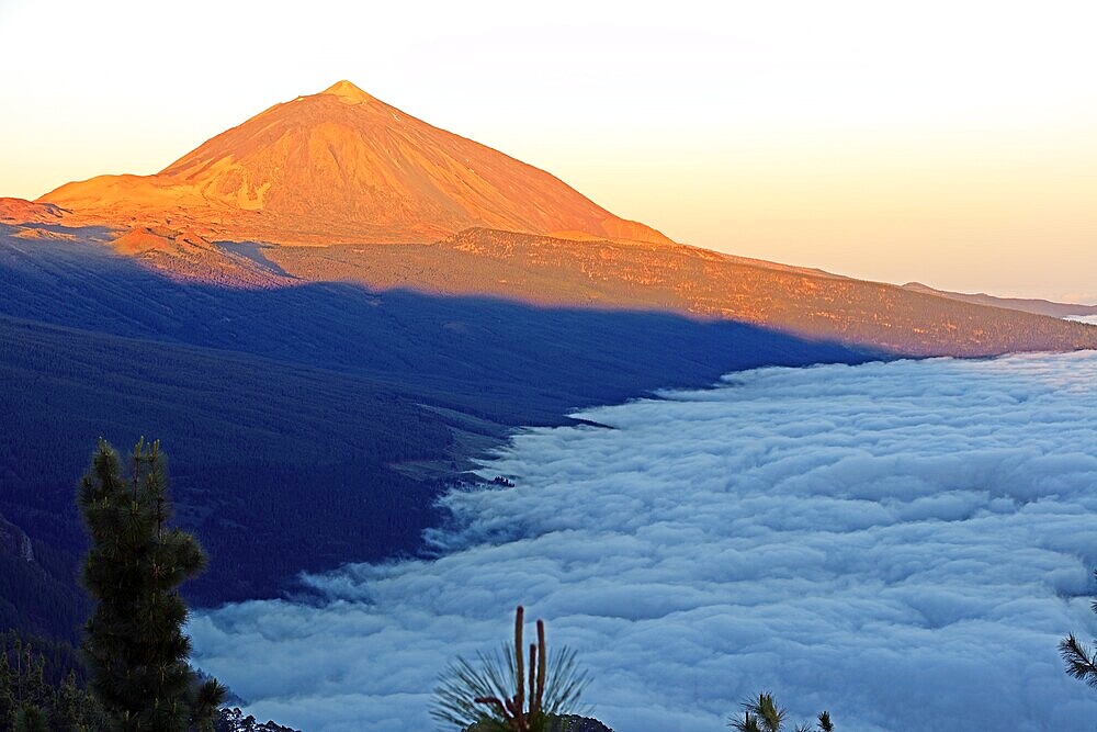 Sunrise on Mount Teide, trade wind clouds, Chipeque viewpoint, Teide National Park, Tenerife, Canary Islands, Spain, Europe