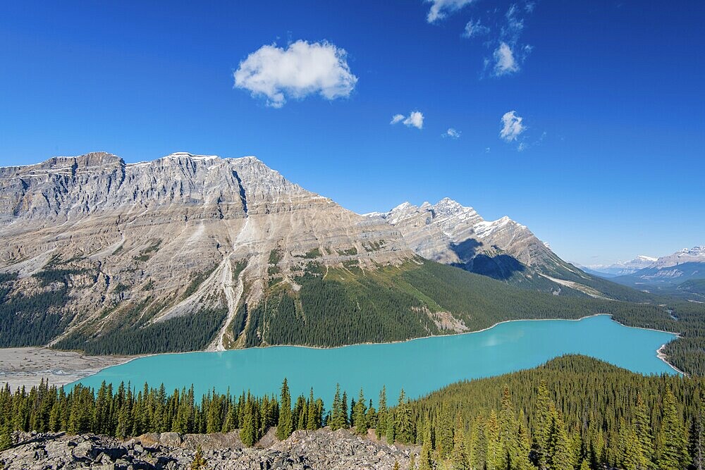 Turquoise glacier Peyto Lake, Banff National Park, Canadian Rockies, Alberta Province, Canada, North America