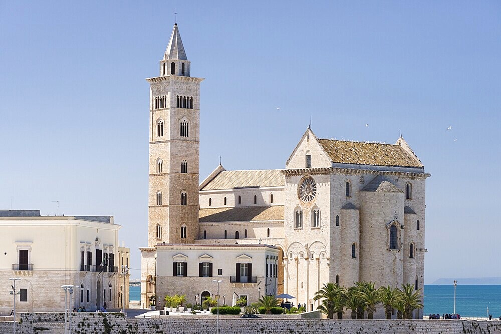 Cathedral of Trani, 11th century, Trani, Bari, Apulia Province, Italy, Europe