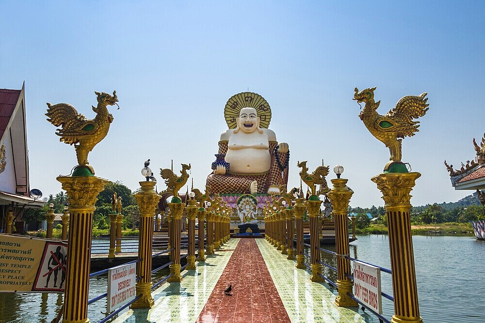 Laughing Buddha, Wat Laem Suwannaram Temple, Ban Bo Phut, Ko Samui, Thailand, Asia