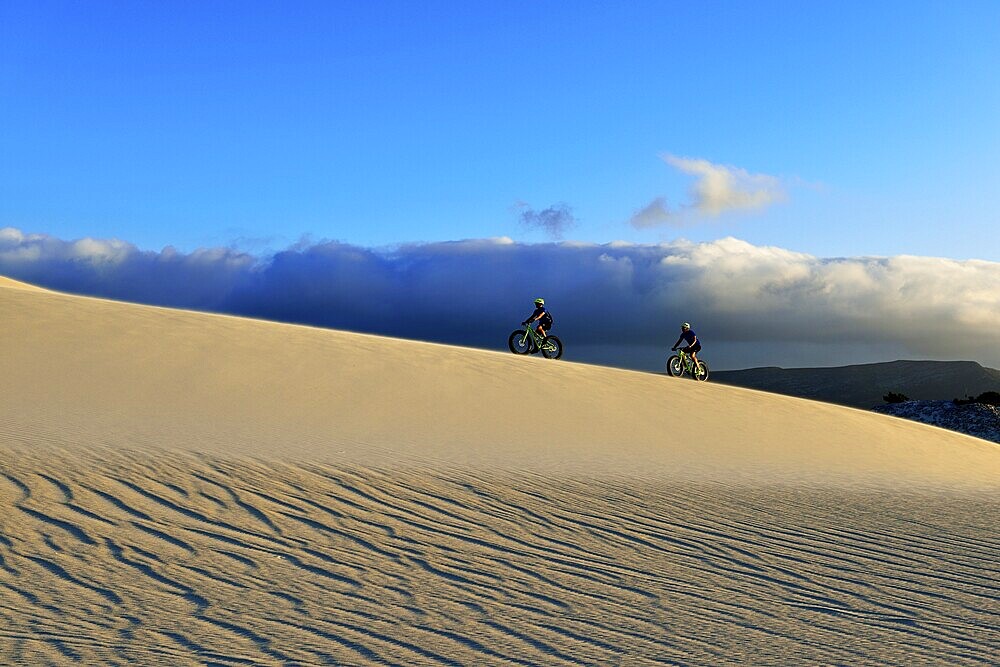 Cycling tour with fatbikes at Die Plaat Beach, Nature Reserve, De Kelders, Gansbaai, Western Cape, South Africa, Africa
