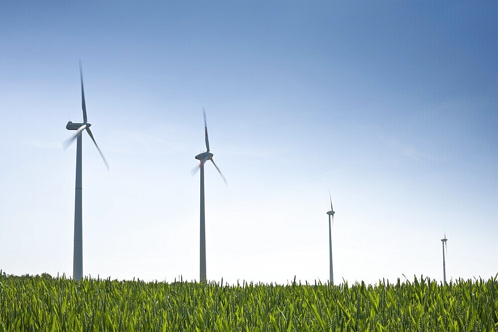 Wind turbines against a blue sky, field in the foreground