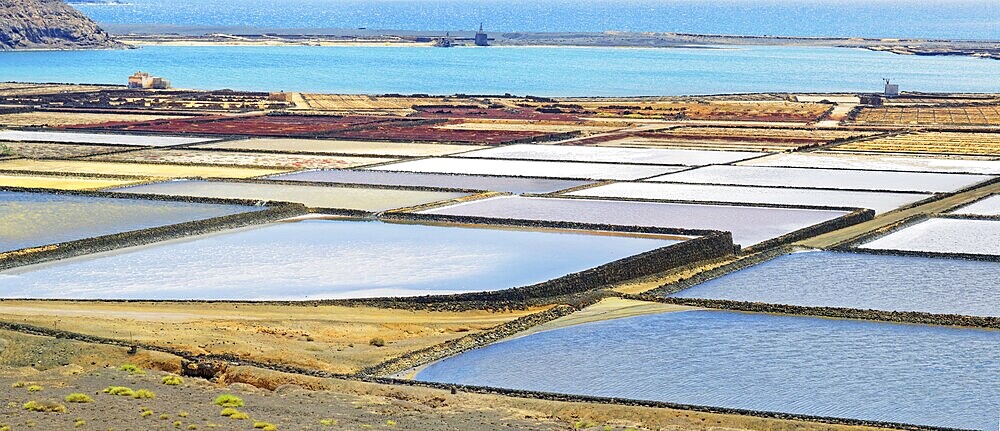 Sea salt production, Salinas de Janubio, La Hoya, Lanzarote, Canary Islands, Spain, Europe