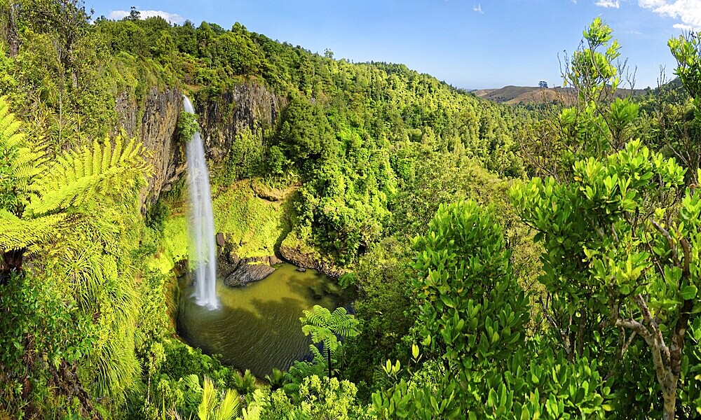 Wall of columnar basalt with waterfall Bridal Veil Falls, tropical vegetation, Pakoka River, Makomako, Waikato, North Island, New Zealand, Oceania
