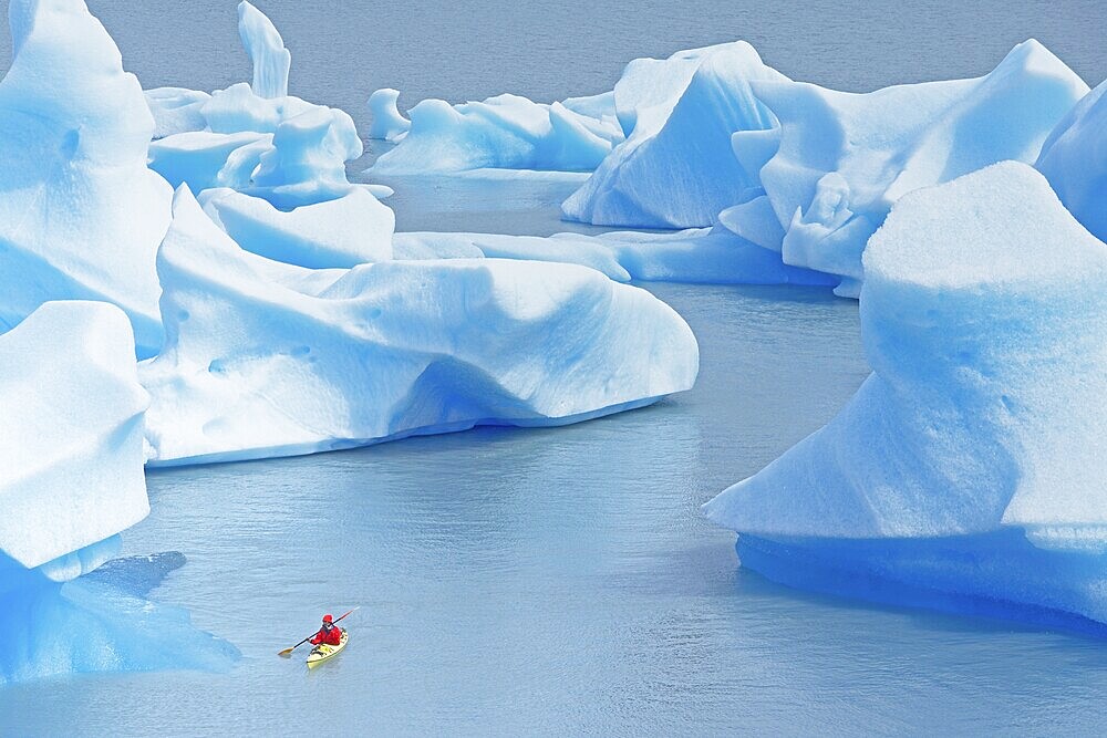 Kayaker on lake, icebergs on Lago Grey, Torres del Paine National Park, Patagonia, Chile, South America