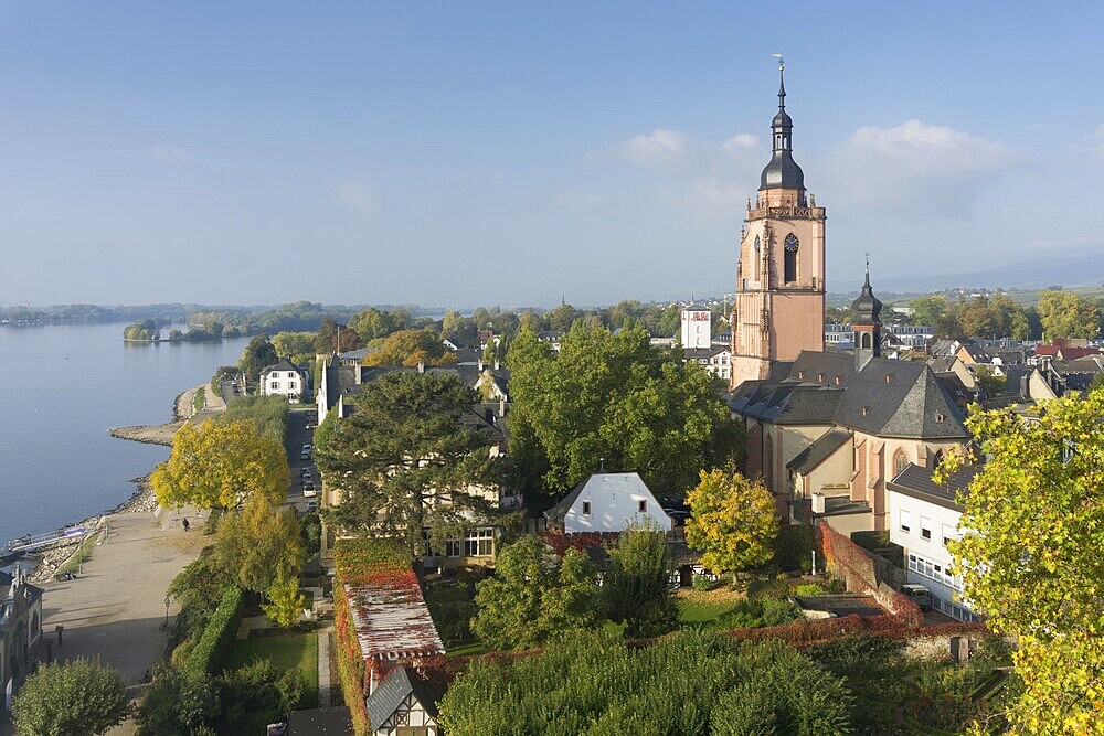 Village view, Eltville am Rhein, Rheingau, Hesse, Germany, Europe