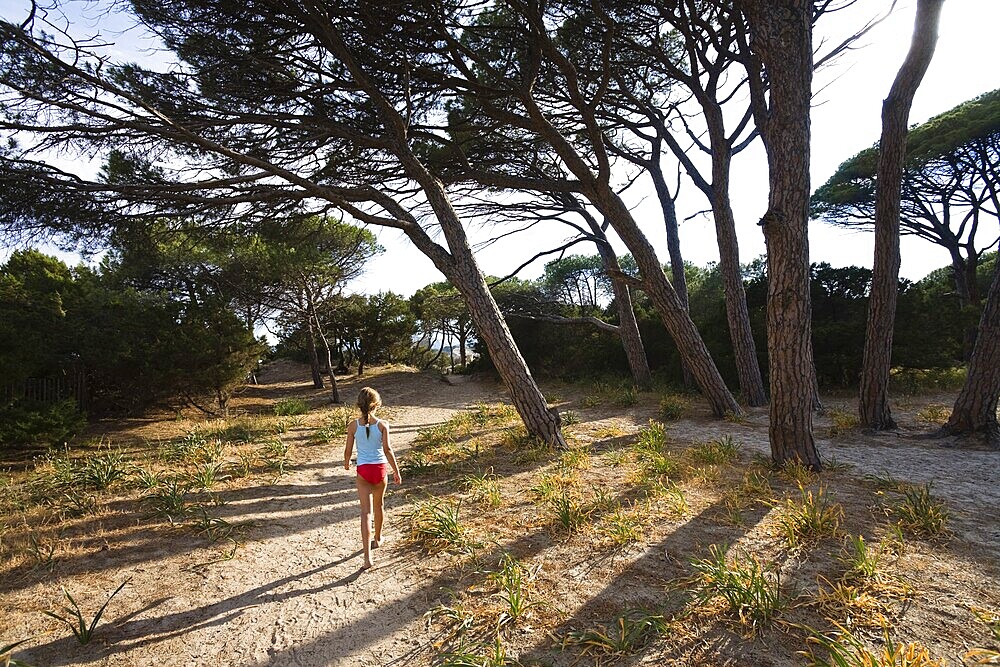 7-year-old girl walking under Umbrella Pines at Palombaggia beach, south-east coast, Corsica, France, Europe