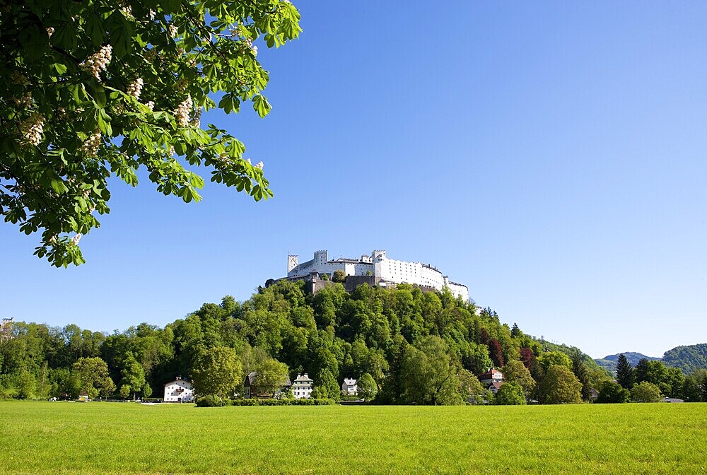 Hohensalzburg Castle, Nonntal valley, Salzburg, Austria, Europe