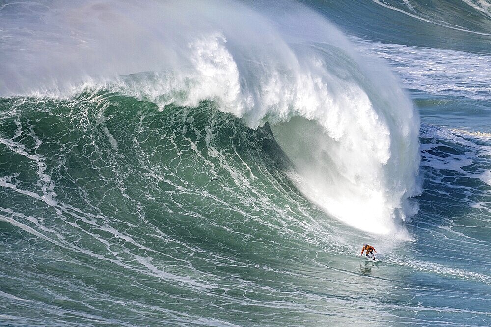 A surfer rides a crashing wave, Nazaré, Portugal, Europe