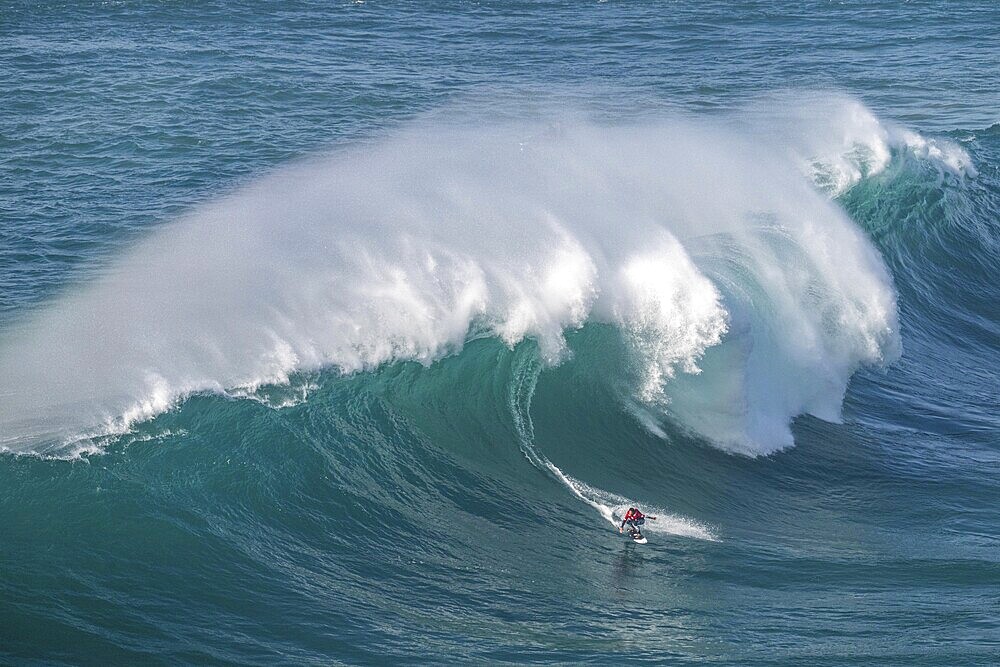 A surfer rides a crashing wave, Nazaré, Portugal, Europe