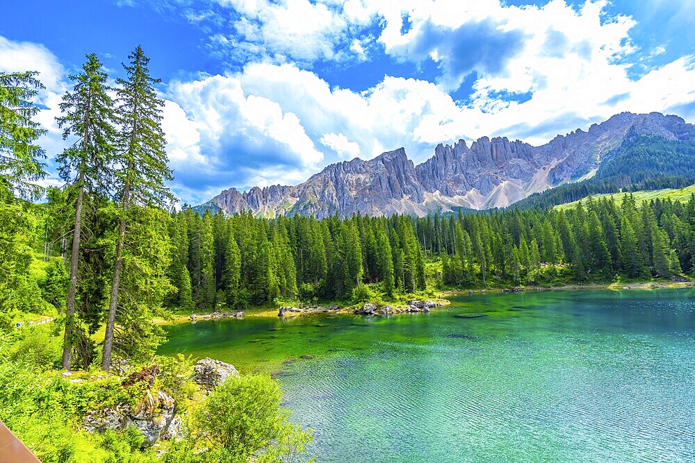 Emerald waters of lake carezza reflecting latemar mountain range, surrounded by lush pine forest under blue sky with white clouds in summer, dolomites, italy